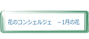 第1回 光を制するものは写真を制す Nao S Planning Notes