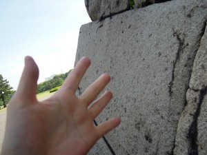 石垣と手