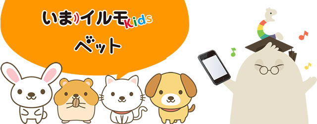 いまイルモkids ペット